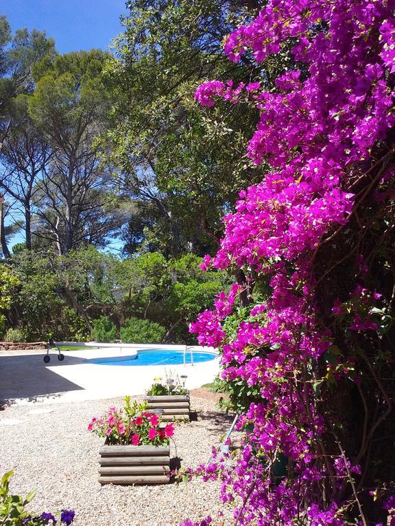 Appartement dans Villa St Raphael Saint-Raphaël Buitenkant foto